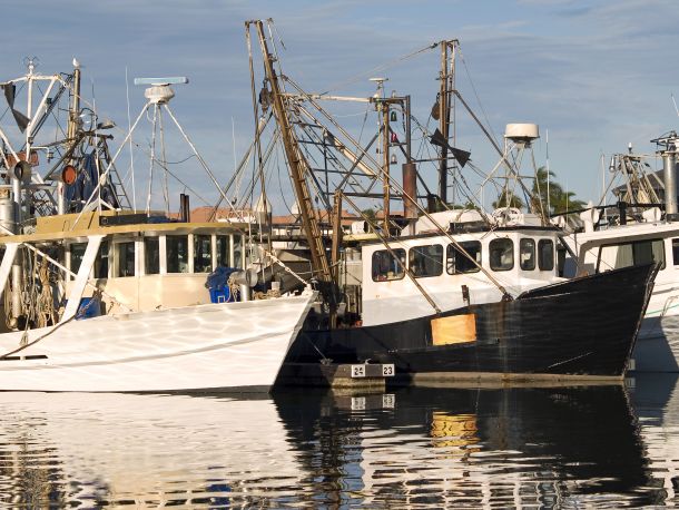 OPINION: Super trawler saga – It’s “only” bait